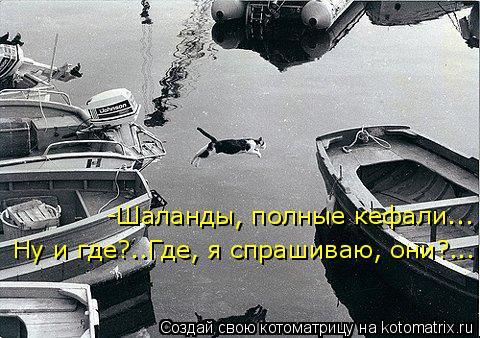 -Шаланды, полные кефали... Ну и где?..Где, я спрашиваю, они?...... Котоматрица: -Шаланды, полные кефали... Ну и где?..Где, я спрашиваю, они?...