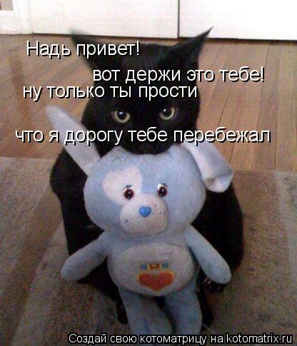 Надь привет! Надь привет! вот держи это тебе! ну только ты прости что я дорогу тебе перебежал... Котоматрица: Надь привет! Надь привет! вот держи это тебе! ну только ты прости что я дорогу тебе перебежал