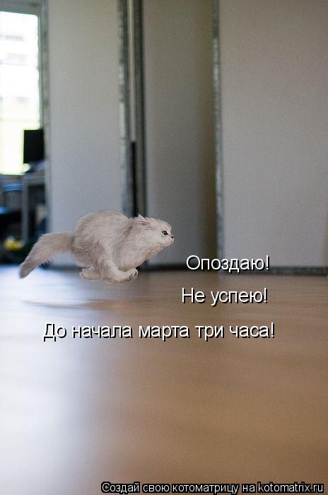 Котоматрица: Опоздаю! Не успею! До начала марта три часа!
