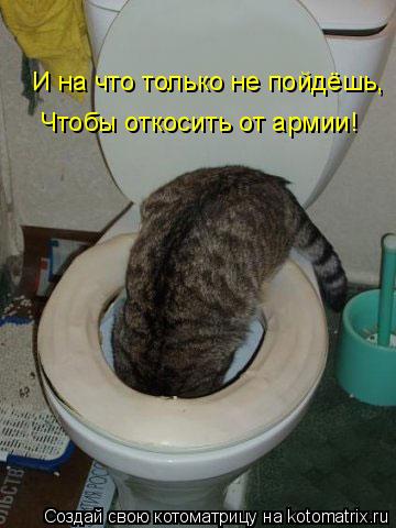 Котоматрица: И на что только не пойдёшь, Чтобы откосить от армии!