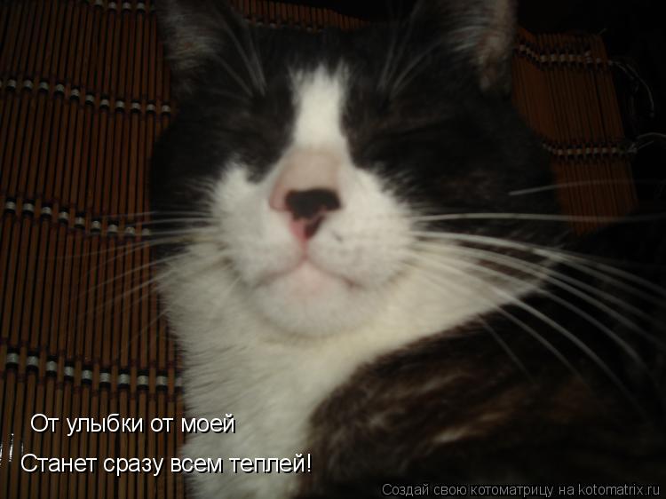 Котоматрица: Станет сразу всем теплей! От улыбки от моей