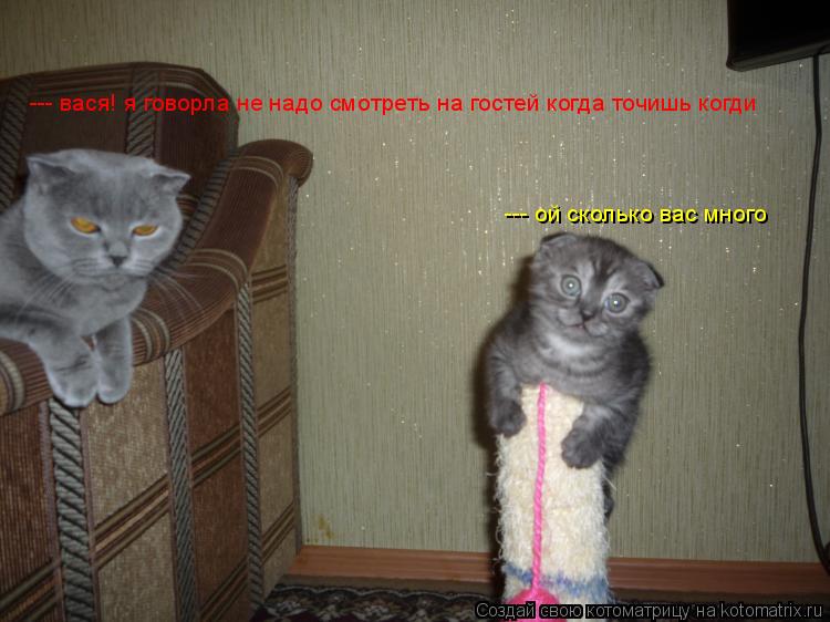 Котоматрица: --- вася! я говорла не надо смотреть на гостей когда точишь когди --- ой сколько вас много