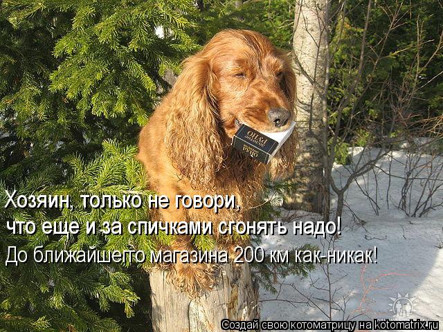 Котоматрица: Хозяин, только не говори,  что еще и за спичками сгонять надо! До ближайшегго магазина 200 км как-никак!