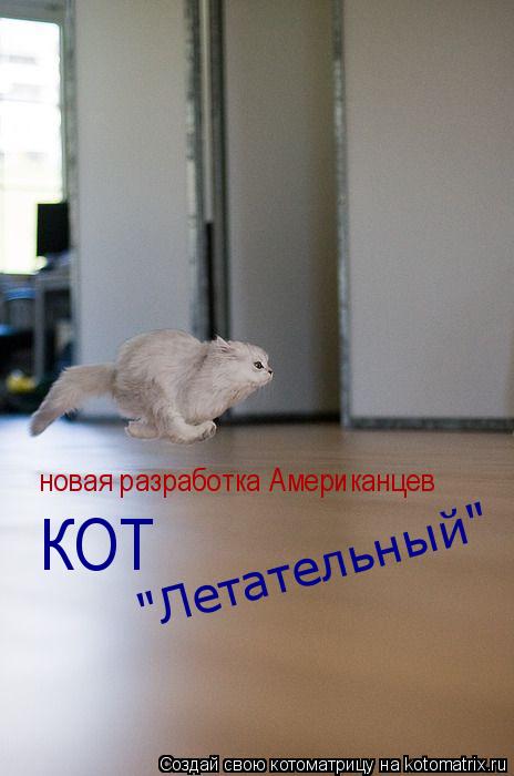 Котоматрица: новая разработка Американцев КОТ "Летательный"