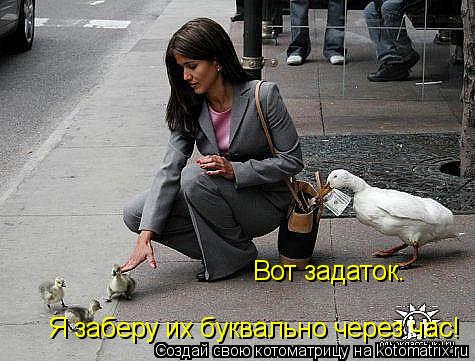 Котоматрица: Вот задаток.  Я заберу их буквально через час!