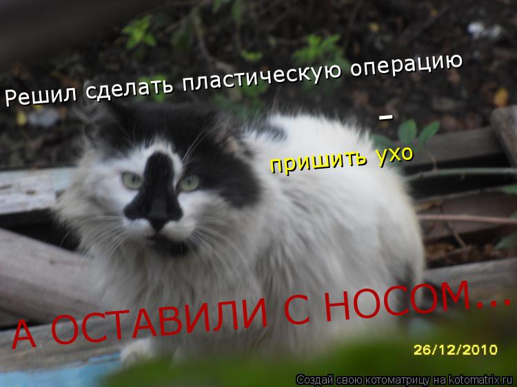 Котоматрица: Решил сделать пластическую операцию  -  пришить ухо А ОСТАВИЛИ С НОСОМ ...