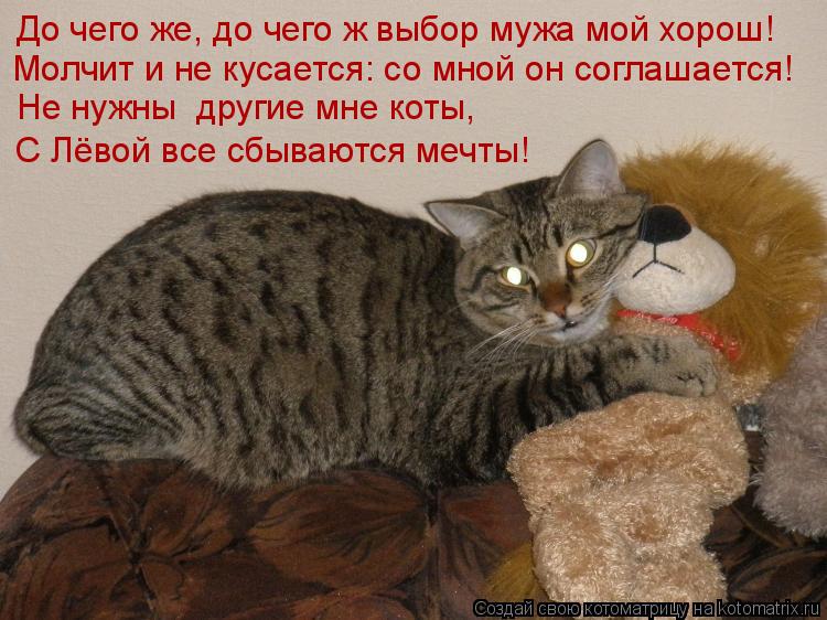 Котоматрица: До чего же, до чего ж выбор мужа мой хорош! Молчит и не кусается: со мной он соглашается! Не нужны  другие мне коты, С Лёвой все сбываются мечты