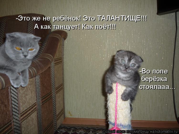 Котоматрица: -Это же не ребёнок! Это ТАЛАНТИЩЕ!!! А как танцует! Как поёт!!! -Во поле берёзка стоялааа...