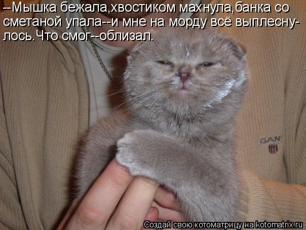 Котоматрица: --Мышка бежала,хвостиком махнула,банка со сметаной упала--и мне на морду всё выплесну- лось.Что смог--облизал.