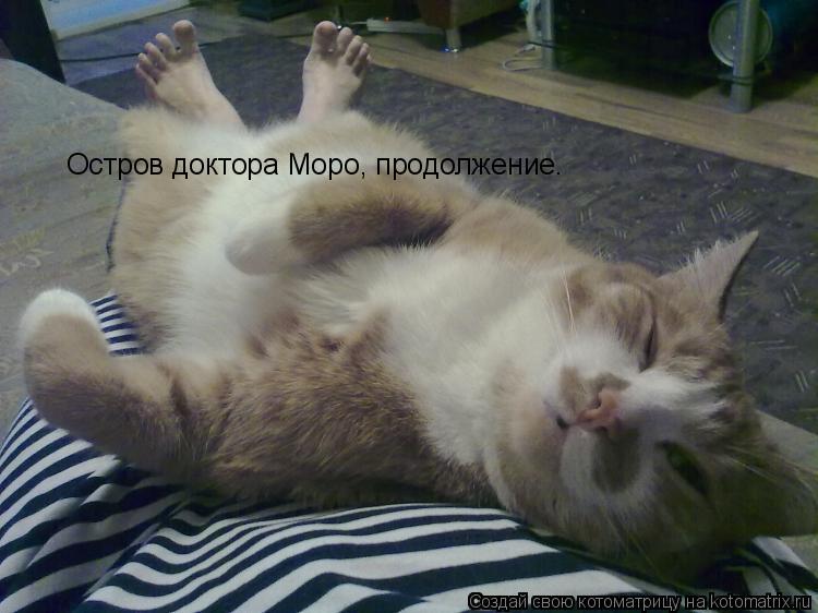 Остров доктора Моро, продолжение.... Котоматрица: Остров доктора Моро, продолжение.