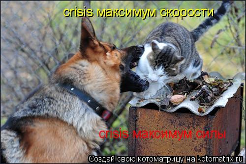 crisis максимум силы crisis максимум скорости... Котоматрица: crisis максимум силы crisis максимум скорости