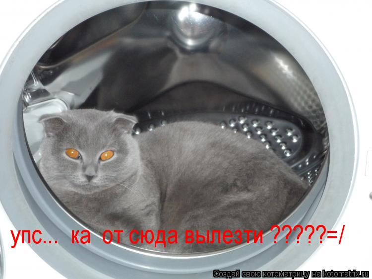 упс... ка от сюда вылезти ?????=/... Котоматрица: упс... ка от сюда вылезти ?????=/