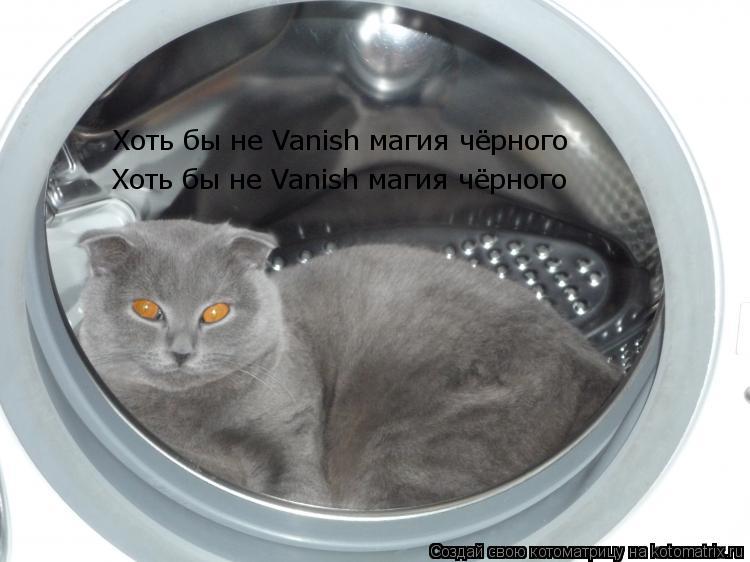 Хоть бы не Vanish магия чёрного Хоть бы не Vanish магия чёрного... Котоматрица: Хоть бы не Vanish магия чёрного Хоть бы не Vanish магия чёрного