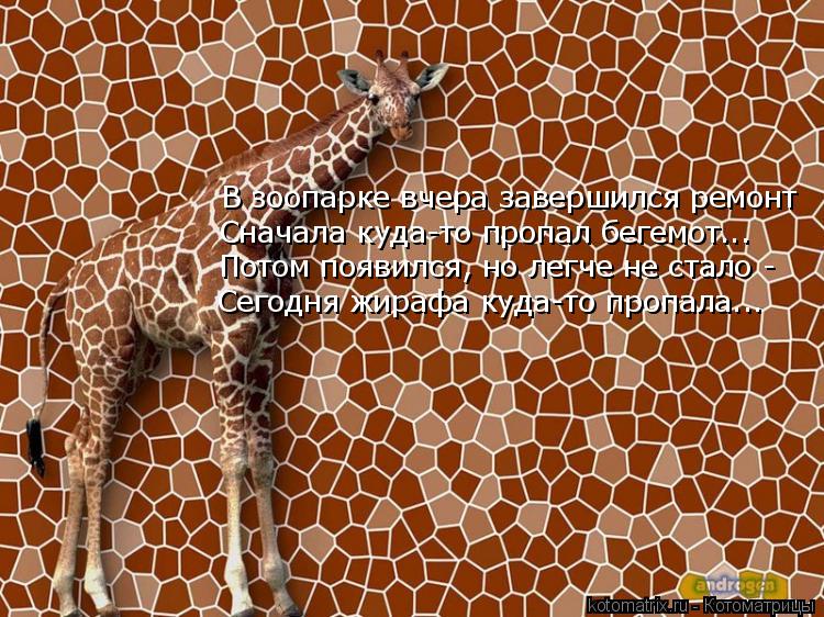 В зоопарке вчера завершился ремонт Сначала куда-то пропал бегемот... Потом появился, но легче не стал... Котоматрица: В зоопарке вчера завершился ремонт Сначала куда-то пропал бегемот... Потом появился, но легче не стало - Сегодня жирафа куда-то пропала...
