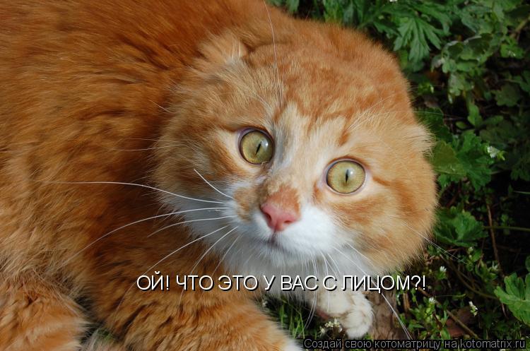 Котоматрица: ОЙ! ЧТО ЭТО У ВАС С ЛИЦОМ?!