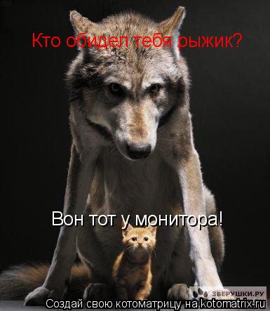Котоматрица: Кто обидел тебя рыжик? Вон тот у монитора!