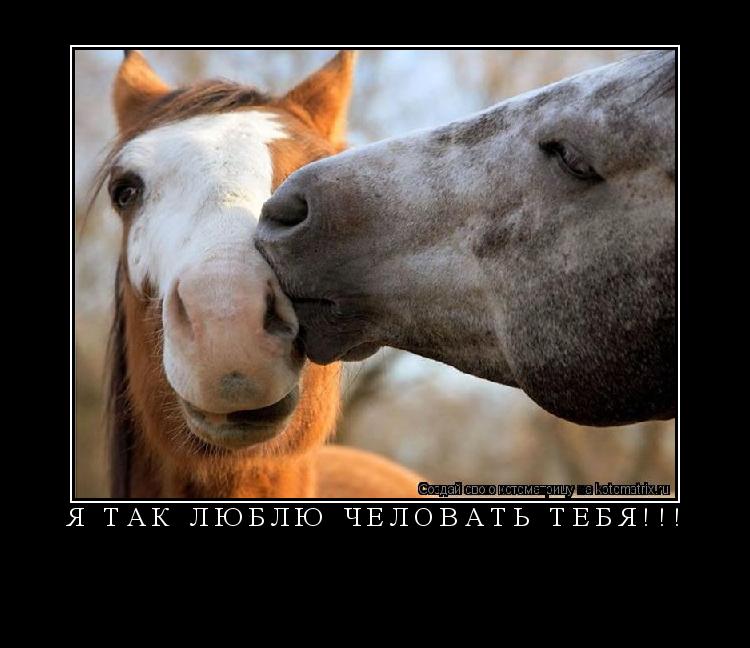 Котоматрица: Я так люблю человать тебя!!! 