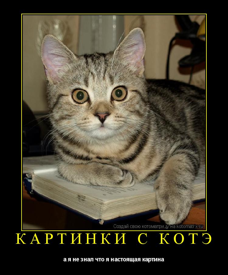 Котоматрица: картинки с котЭ а я не знал что я настоящая картина