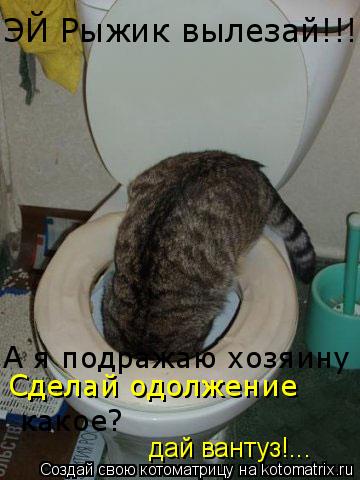 Котоматрица: ЭЙ Рыжик вылезай!!! А я подражаю хозяину  Сделай одолжение какое? дай вантуз!...