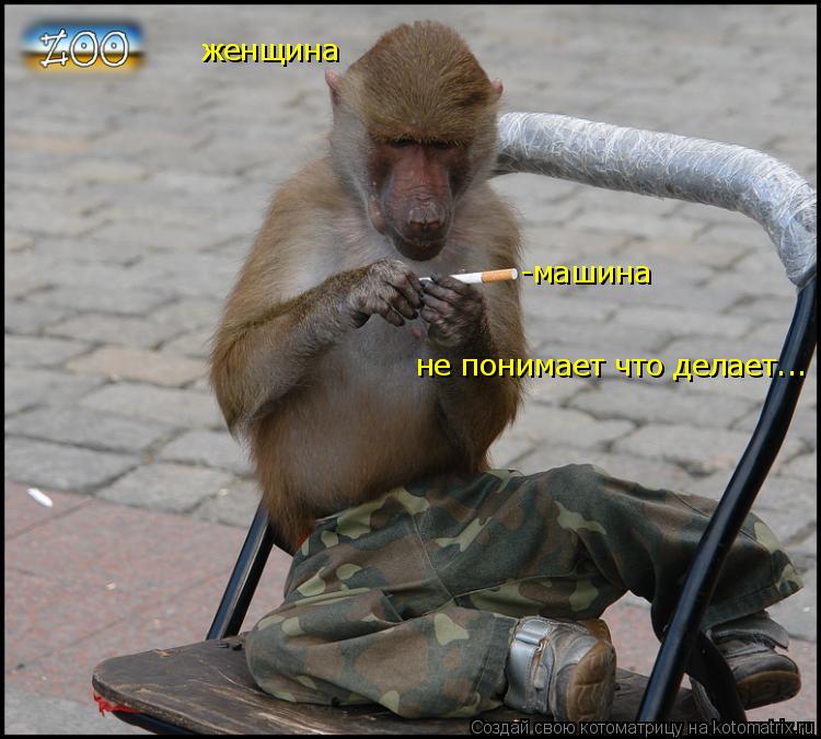 Котоматрица: женщина  -машина не понимает что делает...