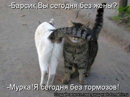 -Барсик,Вы сегодня без жены? -Мурка!Я сегодня без тормозов!... Котоматрица: -Барсик,Вы сегодня без жены? -Мурка!Я сегодня без тормозов!