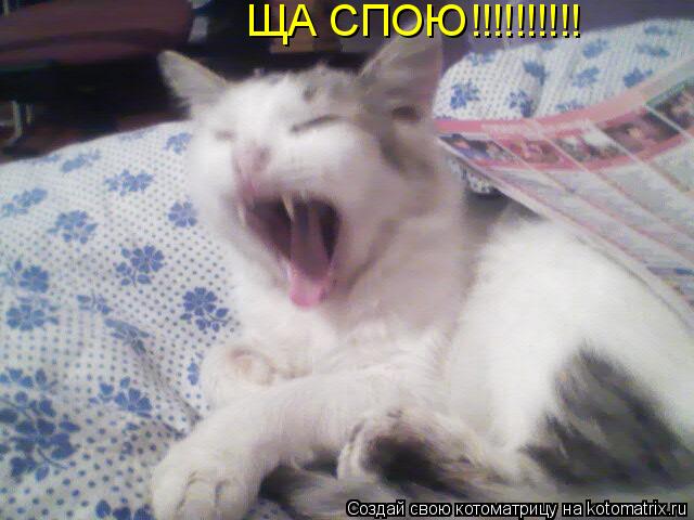 Котоматрица: ЩА СПОЮ!!!!!!!!!!