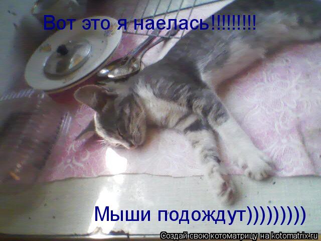 Котоматрица: Вот это я наелась!!!!!!!!! Мыши подождут)))))))))