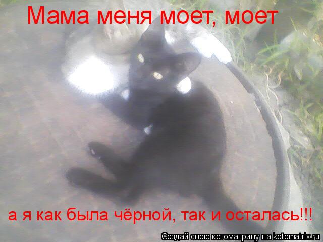 Котоматрица: Мама меня моет, моет а я как была чёрной, так и осталась!!!