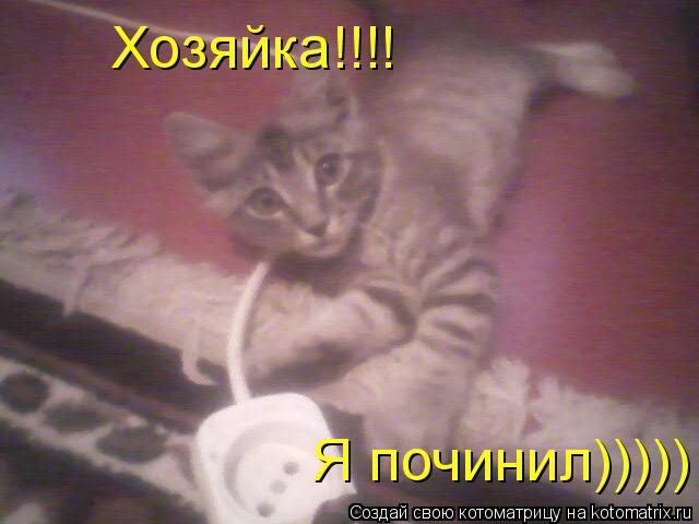 Котоматрица: Хозяйка!!!! Я починил)))))