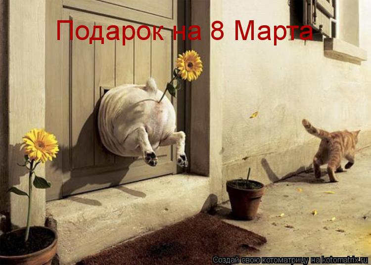 Подарок на 8 Марта... Котоматрица: Подарок на 8 Марта