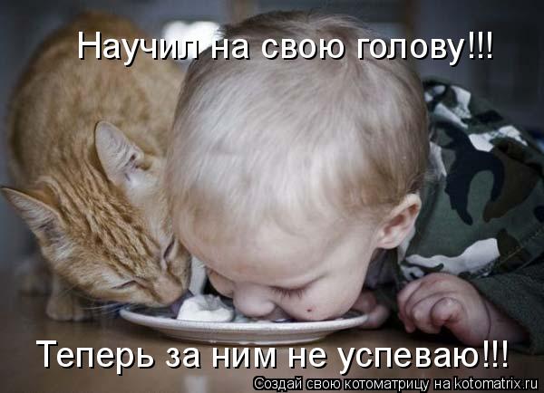 Научил на свою голову!!! Теперь за ним не успеваю!!!... Котоматрица: Научил на свою голову!!! Теперь за ним не успеваю!!!