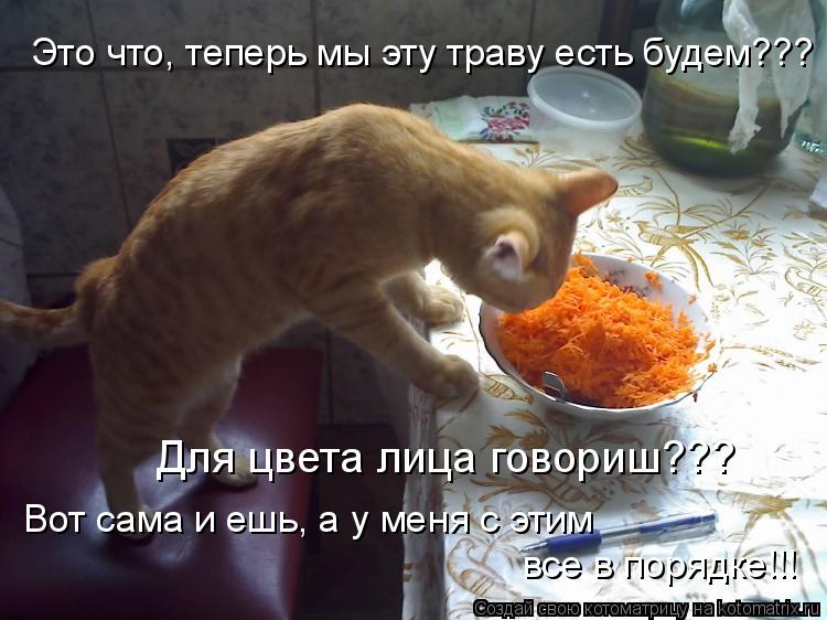 Это что, теперь мы эту траву есть будем??? Вот сама и ешь, а у меня с этим все в порядке!!! Для цвет... Котоматрица: Это что, теперь мы эту траву есть будем??? Вот сама и ешь, а у меня с этим все в порядке!!! Для цвета лица говориш???