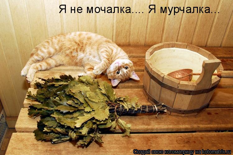 Котоматрица: Я не мочалка.... Я мурчалка...