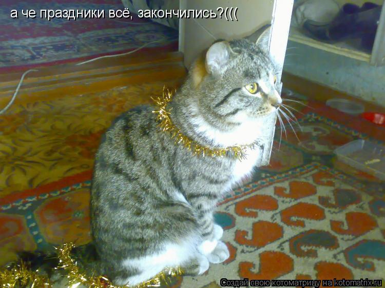 а че праздники всё, закончились?(((... Котоматрица: а че праздники всё, закончились?(((