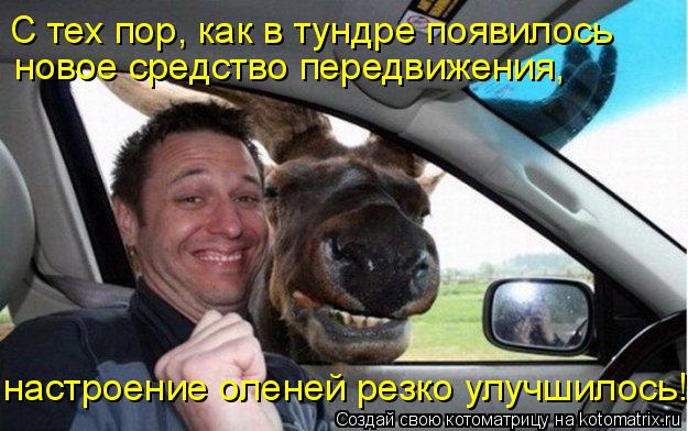 С тех пор, как в тундре появилось новое средство передвижения, настроение оленей резко улучшилось!... Котоматрица: С тех пор, как в тундре появилось новое средство передвижения, настроение оленей резко улучшилось!