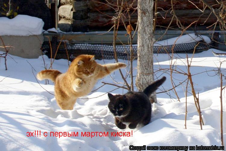 Котоматрица: эх!!! с первым мартом киска!