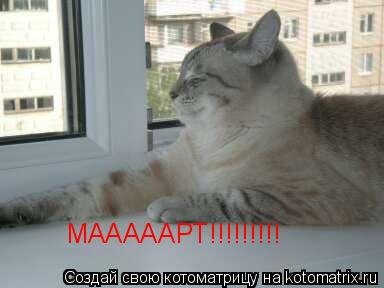МАААААРТ!!!!!!!!!... Котоматрица: МАААААРТ!!!!!!!!!