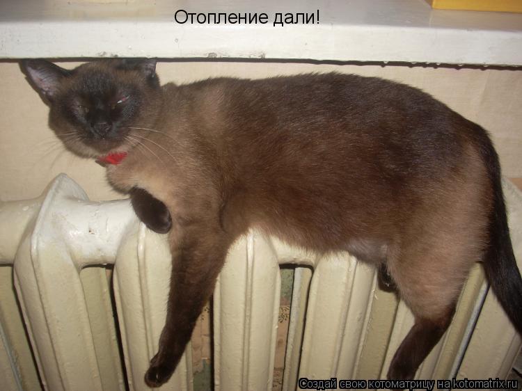 Отопление дали!... Котоматрица: Отопление дали!