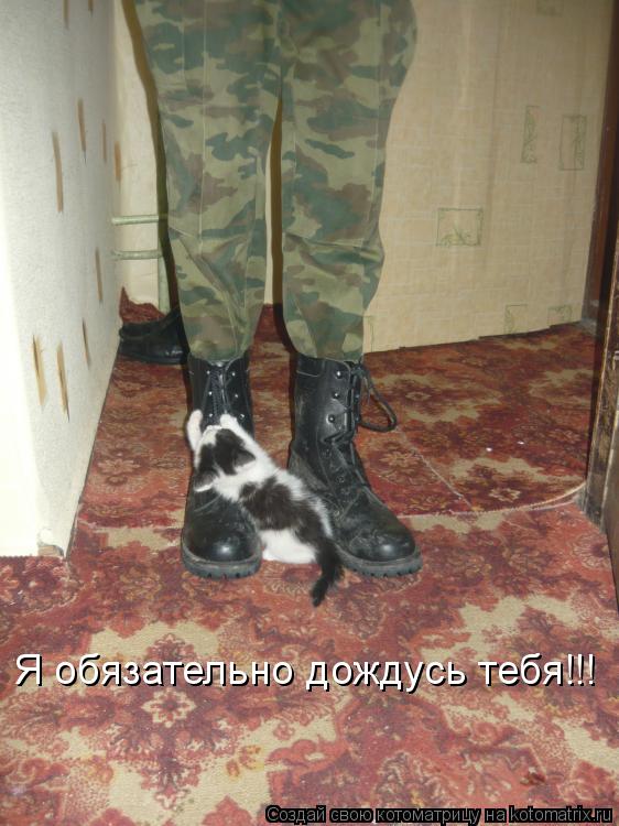 Я обязательно дождусь тебя!!!... Котоматрица: Я обязательно дождусь тебя!!!