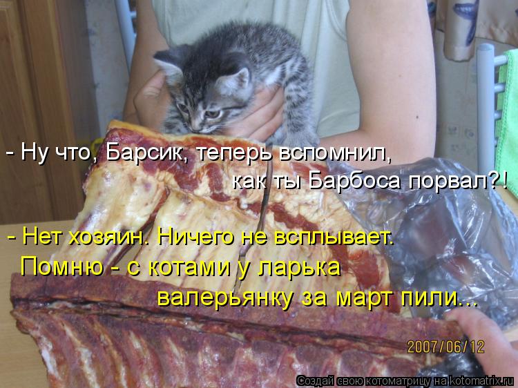 Котоматрица: - Ну что, Барсик, теперь вспомнил,  как ты Барбоса порвал?! - Нет хозяин. Ничего не всплывает.  Помню - с котами у ларька  валерьянку за март пили.