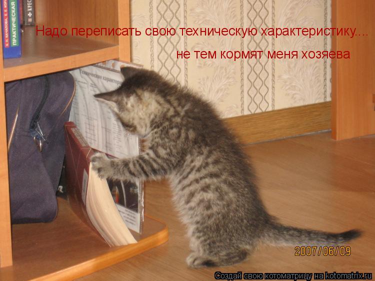 Котоматрица: Надо переписать свою техническую характеристику.... не тем кормят меня хозяева