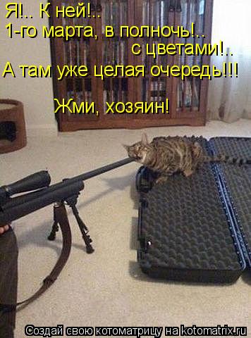 Котоматрица: Я!.. К ней!..  1-го марта, в полночь!..  с цветами!..  А там уже целая очередь!!! Жми, хозяин!
