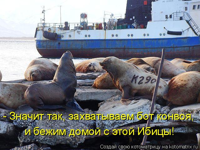 - Значит так, захватываем бот конвоя, и бежим домой с этой Ибицы!... Котоматрица: - Значит так, захватываем бот конвоя, и бежим домой с этой Ибицы!