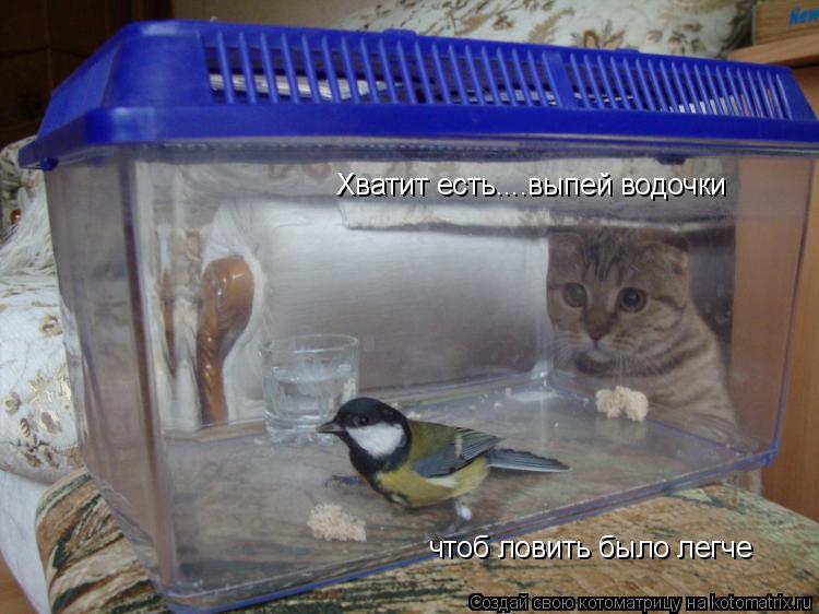 Котоматрица: Хватит есть....выпей водочки чтоб ловить было легче