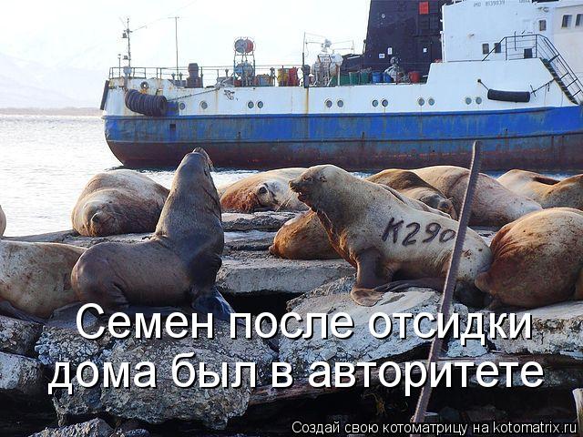 Семен после отсидки дома был в авторитете... Котоматрица: Семен после отсидки дома был в авторитете