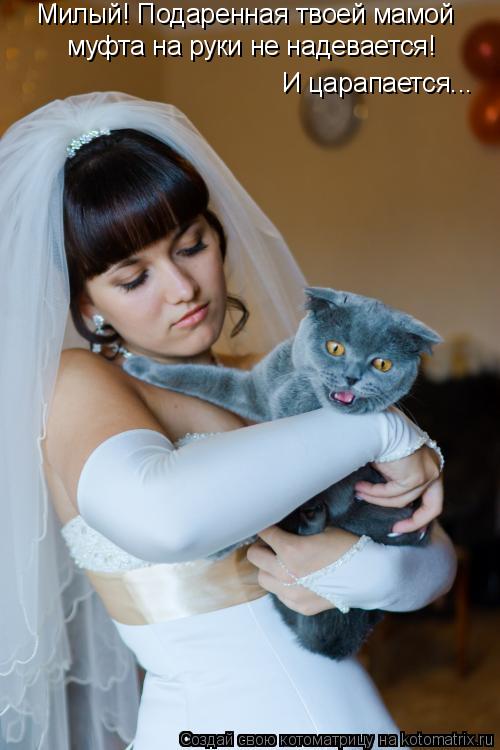 Милый! Подаренная твоей мамой муфта на руки не надевается! И царапается...... Котоматрица: Милый! Подаренная твоей мамой муфта на руки не надевается! И царапается...