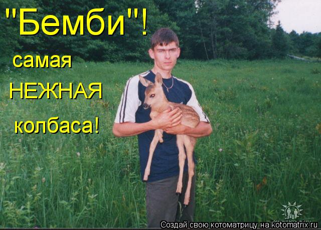 самая НЕЖНАЯ колбаса! "Бемби"!... Котоматрица: самая НЕЖНАЯ колбаса! "Бемби"!