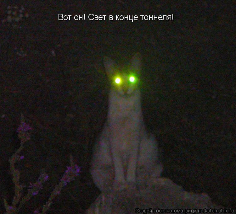Вот он! Свет в конце тоннеля!... Котоматрица: Вот он! Свет в конце тоннеля!