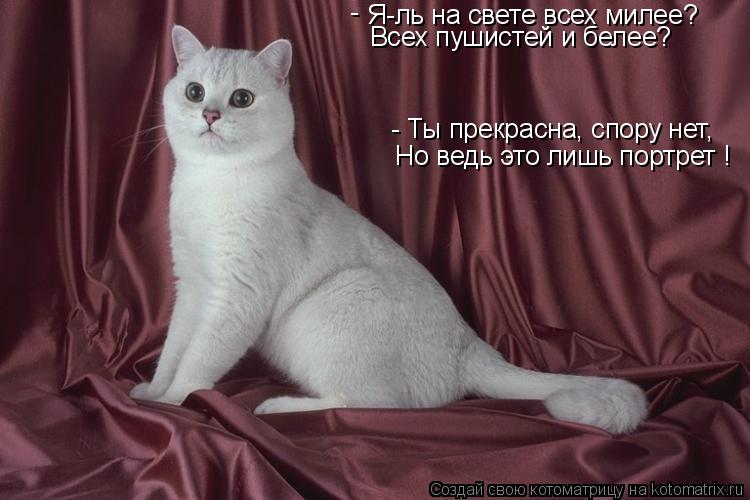 Я-ль на свете всех милее? Всех пушистей и белее? - Ты прекрасна, спору нет, Но ведь это лишь портрет ... Котоматрица: Я-ль на свете всех милее? Всех пушистей и белее? - Ты прекрасна, спору нет, Но ведь это лишь портрет ! -
