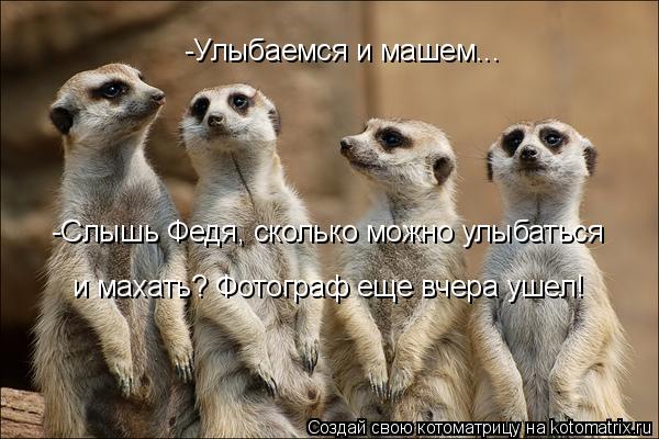 -Улыбаемся и машем... -Слышь Федя, сколько можно улыбаться и махать? Фотограф еще вчера ушел!... Котоматрица: -Улыбаемся и машем... -Слышь Федя, сколько можно улыбаться и махать? Фотограф еще вчера ушел!